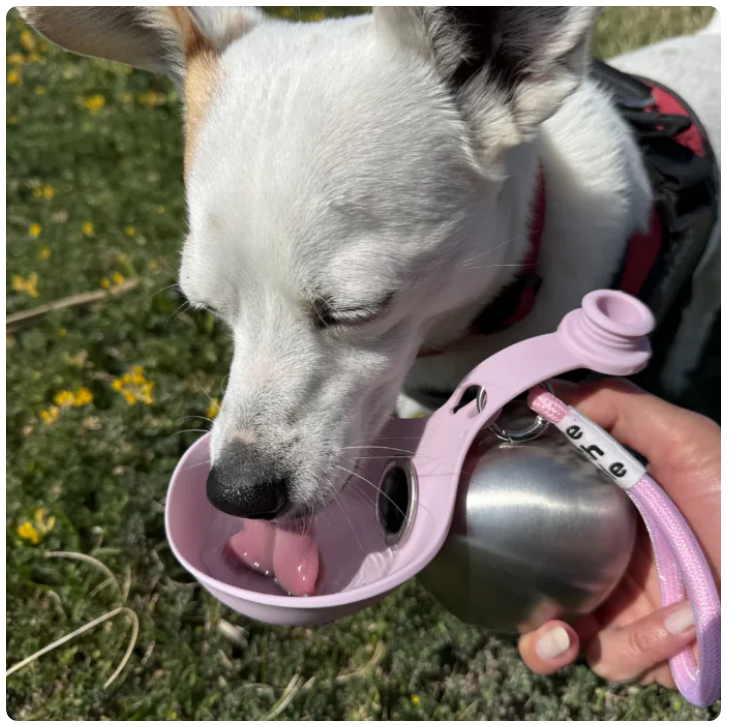 La Puppy Gourde